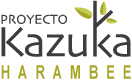 proyecto-kazuka-harambee